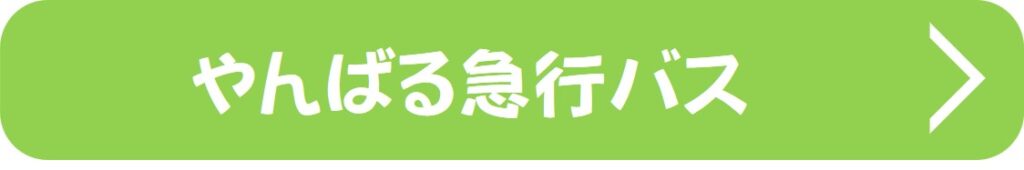 やんばる急行バス